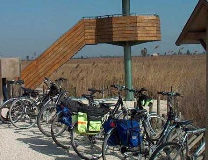 Caiac i Bicicleta Desembocadura Ebre Deltaventur
